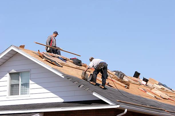 Best Metal Roofing Installation  in Carthage, MS